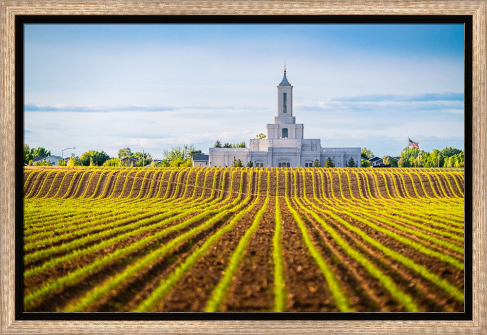 Moses Lake Temple - Seed of Faith