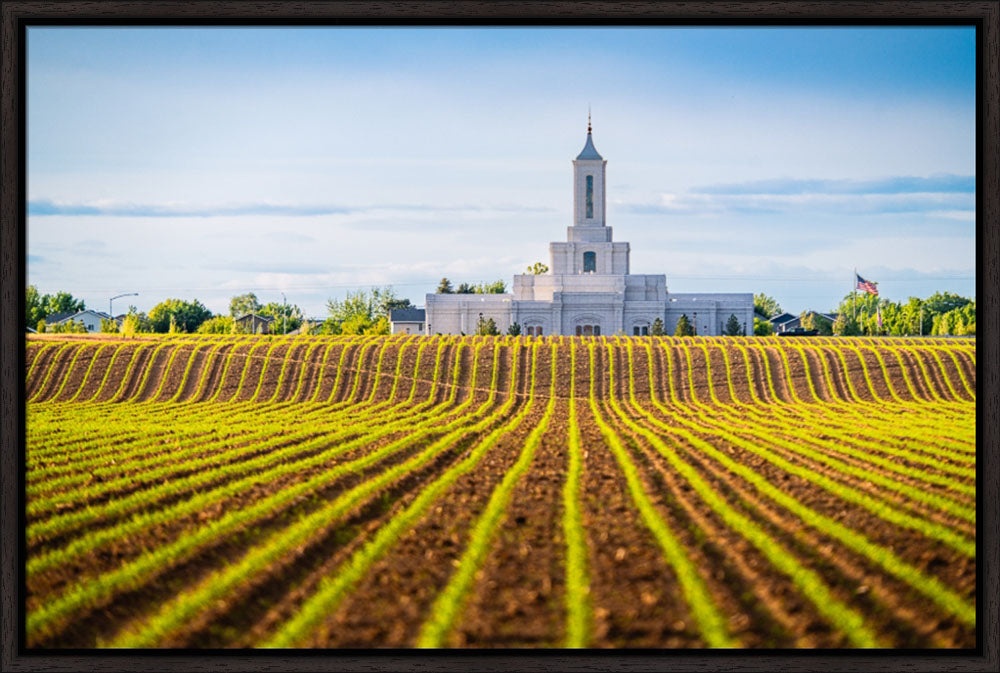 Moses Lake Temple - Seed of Faith