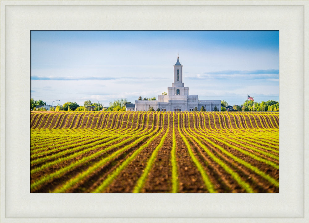 Moses Lake Temple - Seed of Faith