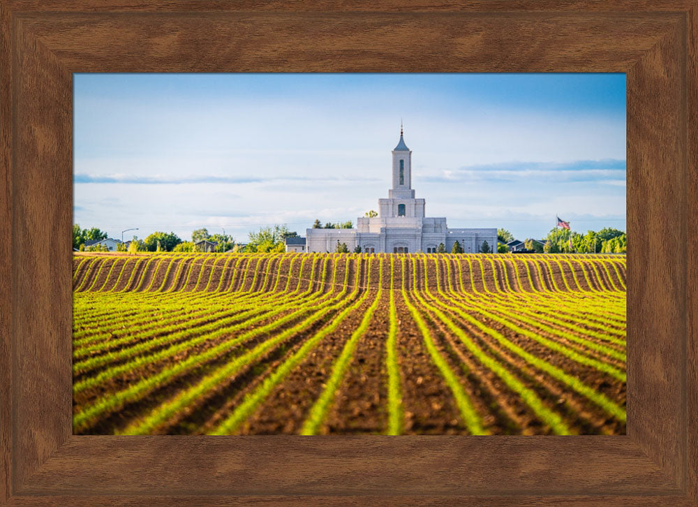 Moses Lake Temple - Seed of Faith