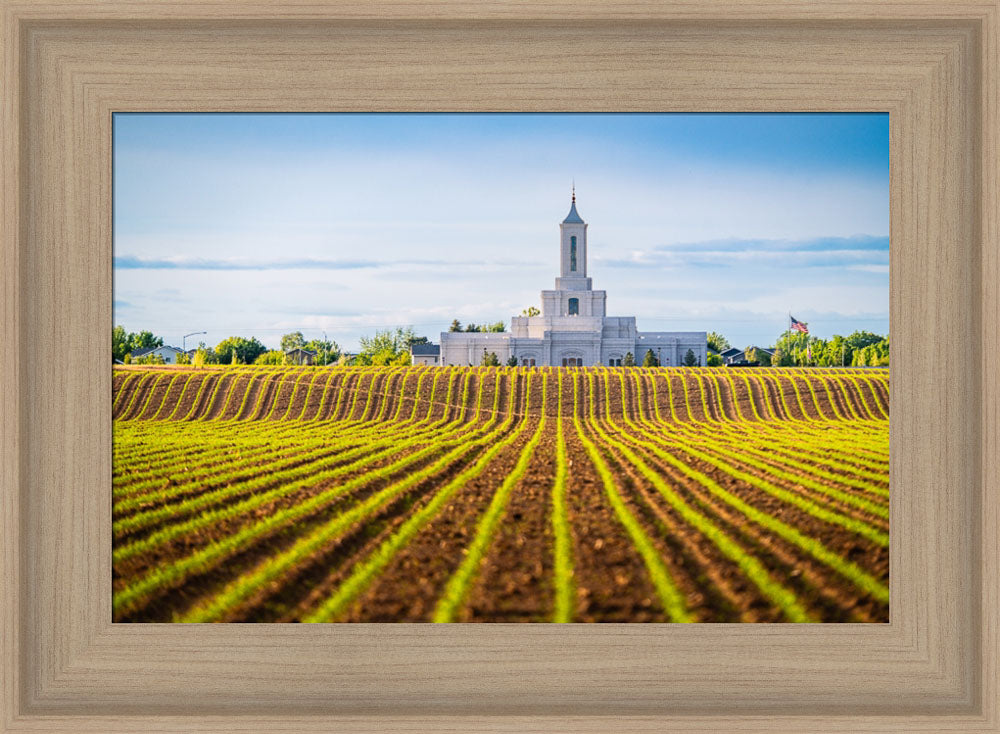 Moses Lake Temple - Seed of Faith