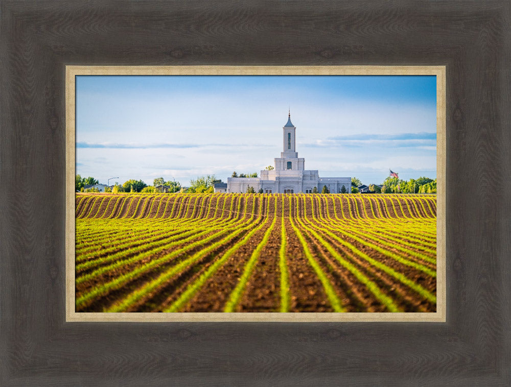 Moses Lake Temple - Seed of Faith