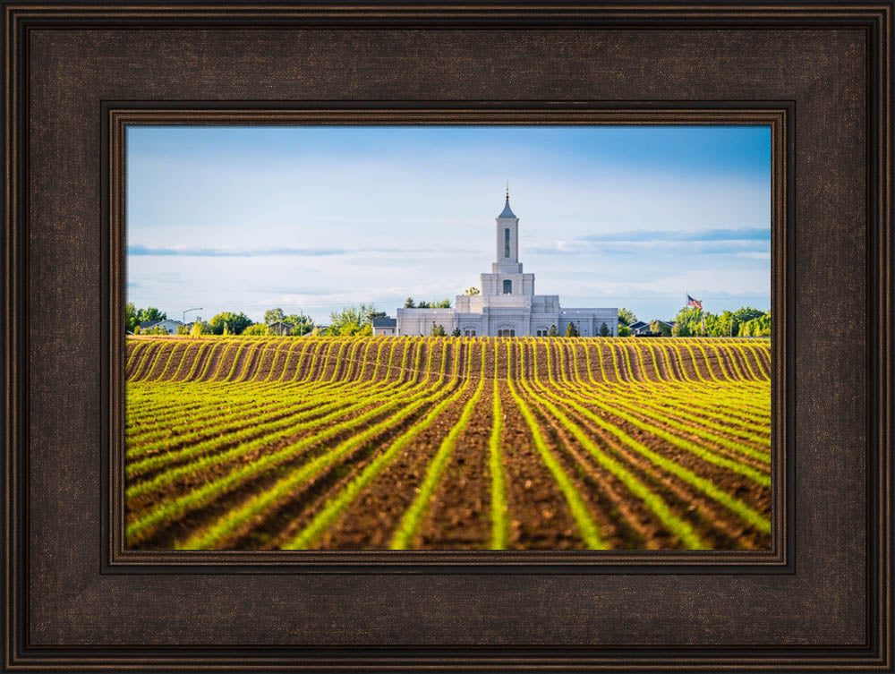 Moses Lake Temple - Seed of Faith