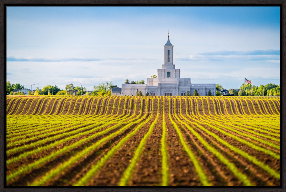 Moses Lake Temple - Seed of Faith