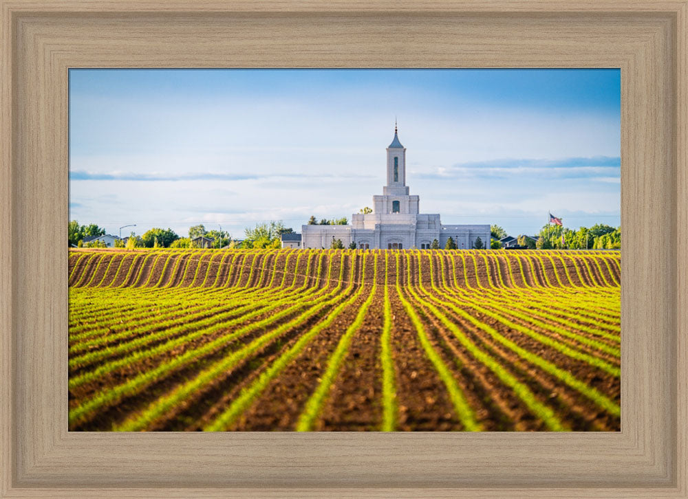 Moses Lake Temple - Seed of Faith
