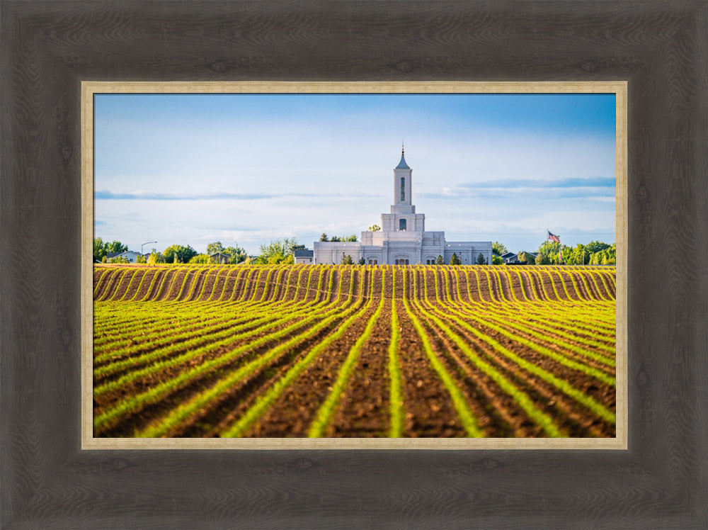 Moses Lake Temple - Seed of Faith