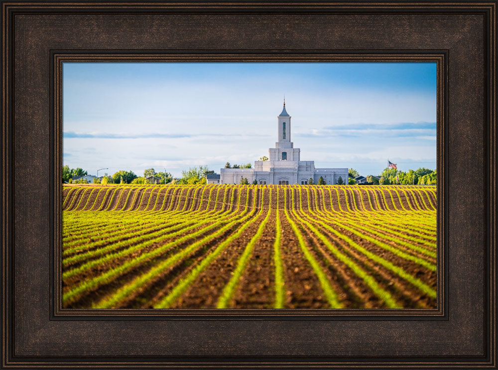 Moses Lake Temple - Seed of Faith