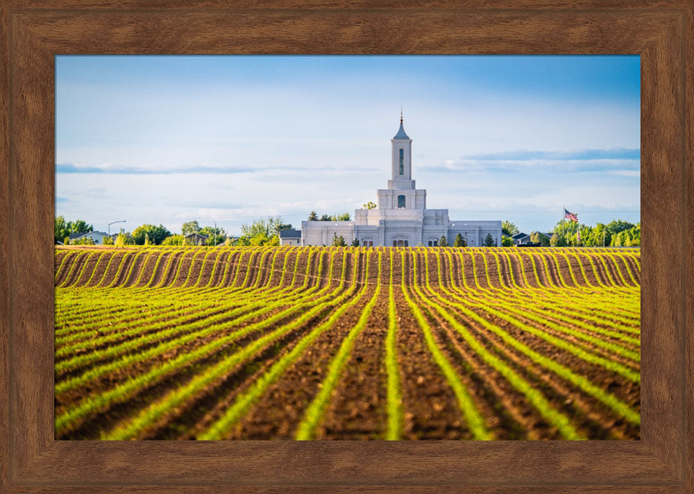 Moses Lake Temple - Seed of Faith