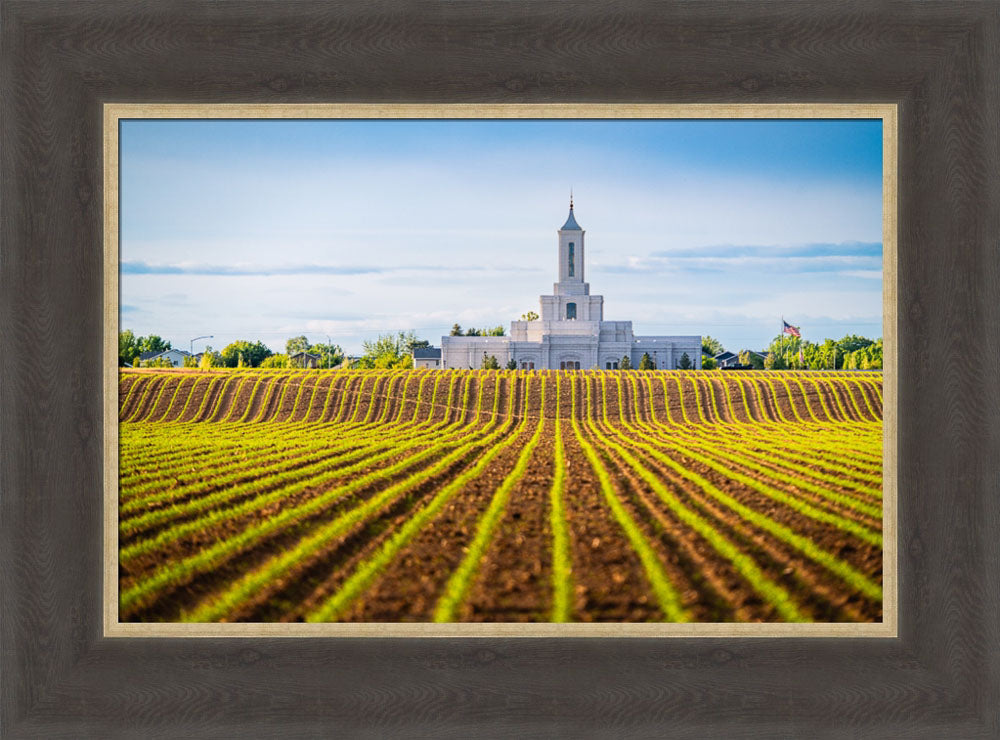 Moses Lake Temple - Seed of Faith