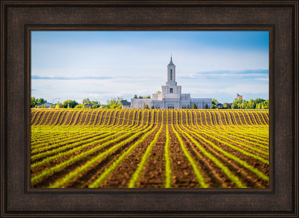 Moses Lake Temple - Seed of Faith