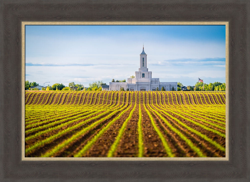 Moses Lake Temple - Seed of Faith
