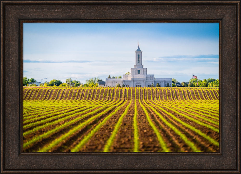 Moses Lake Temple - Seed of Faith