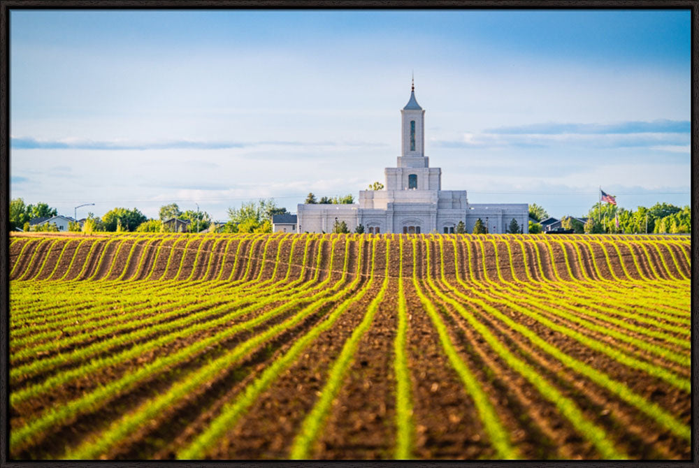 Moses Lake Temple - Seed of Faith