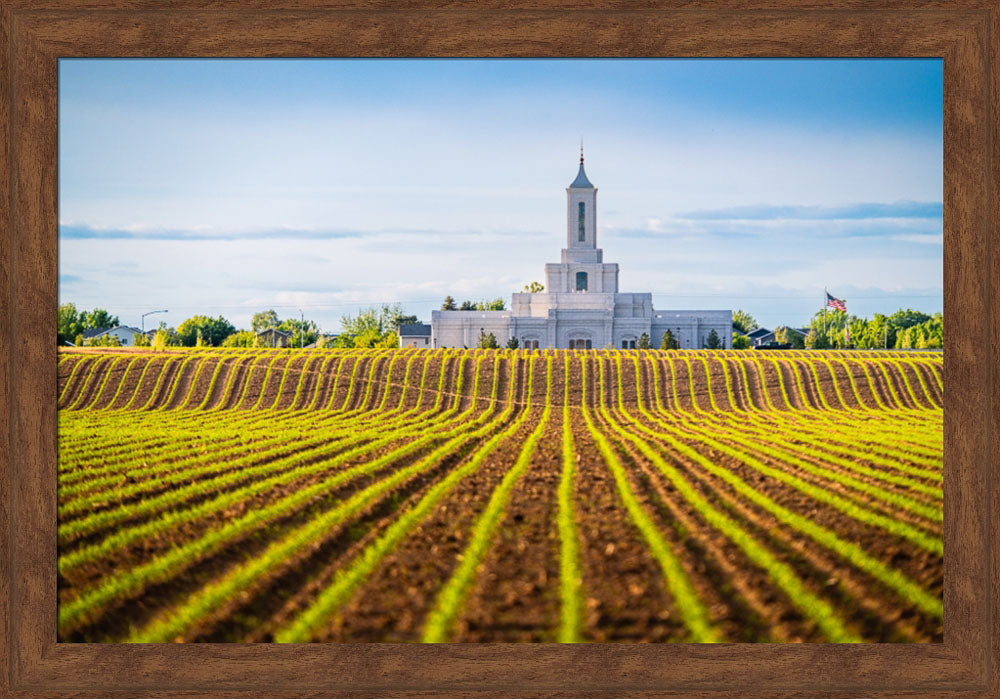 Moses Lake Temple - Seed of Faith