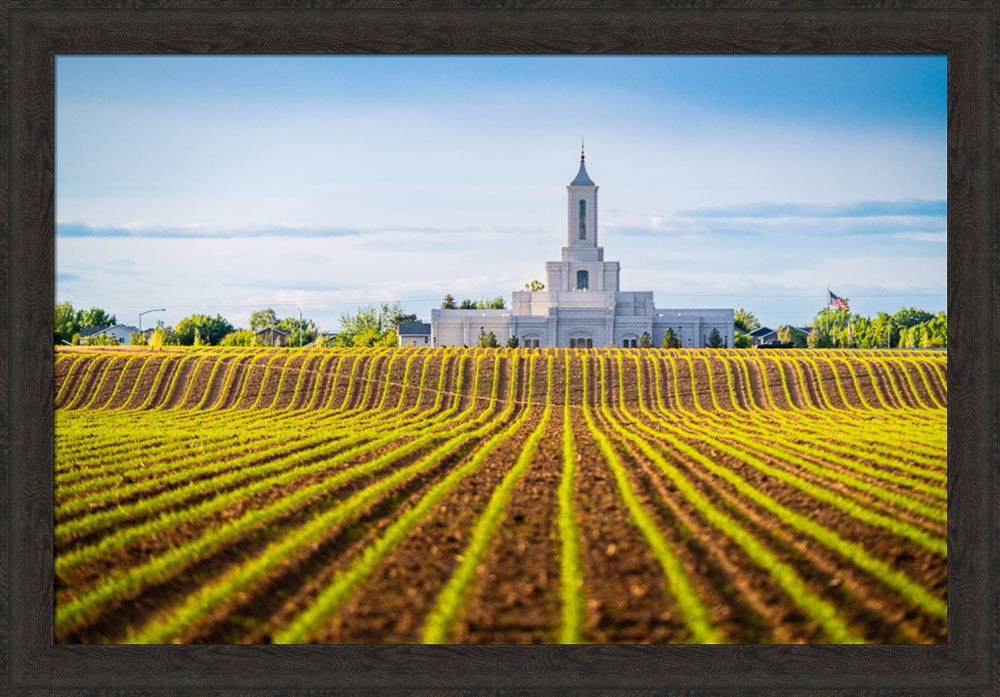 Moses Lake Temple - Seed of Faith