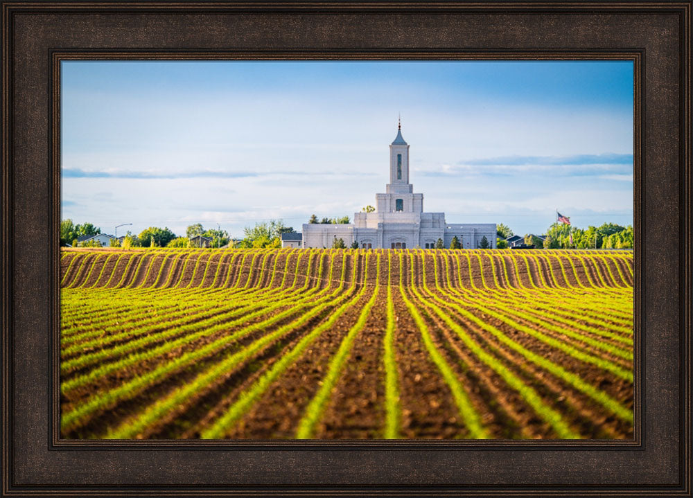 Moses Lake Temple - Seed of Faith