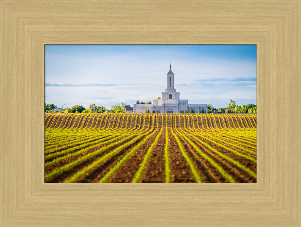 Moses Lake Temple - Seed of Faith