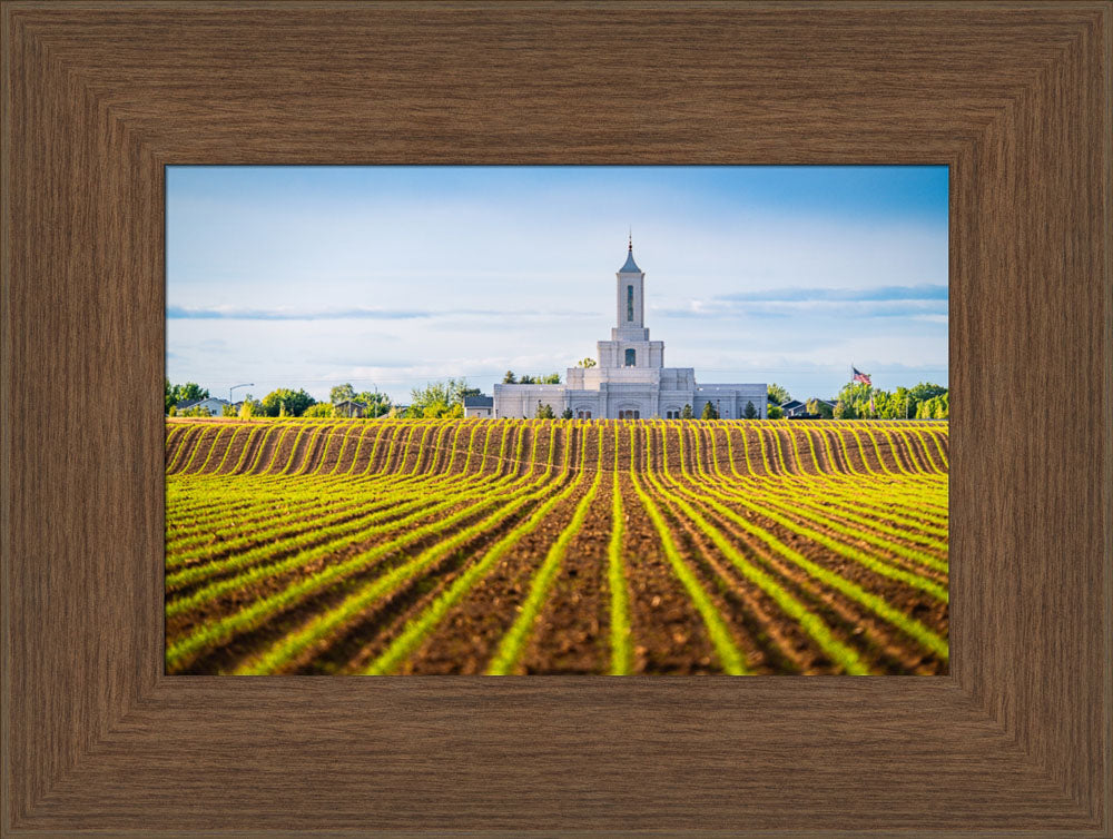 Moses Lake Temple - Seed of Faith