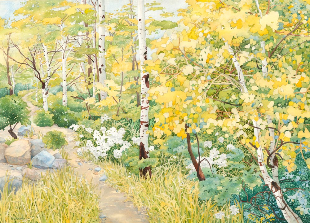 Watercolor painting of a path through aspen trees.