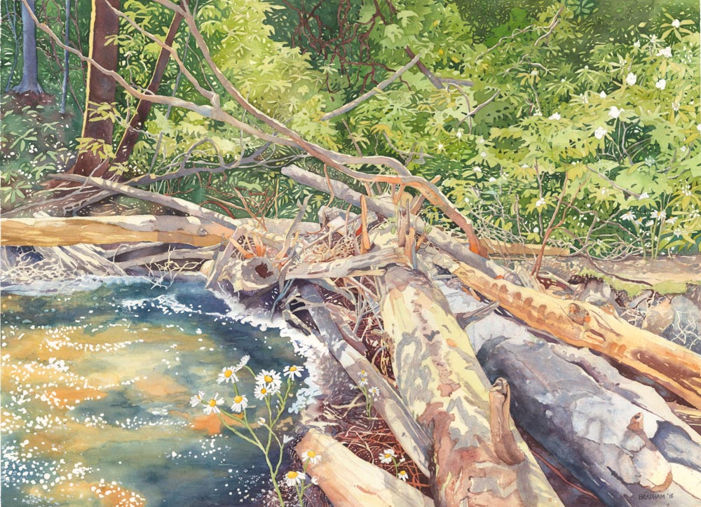 Watercolor painting of trees fallen in a river symbolizing to trust in God.