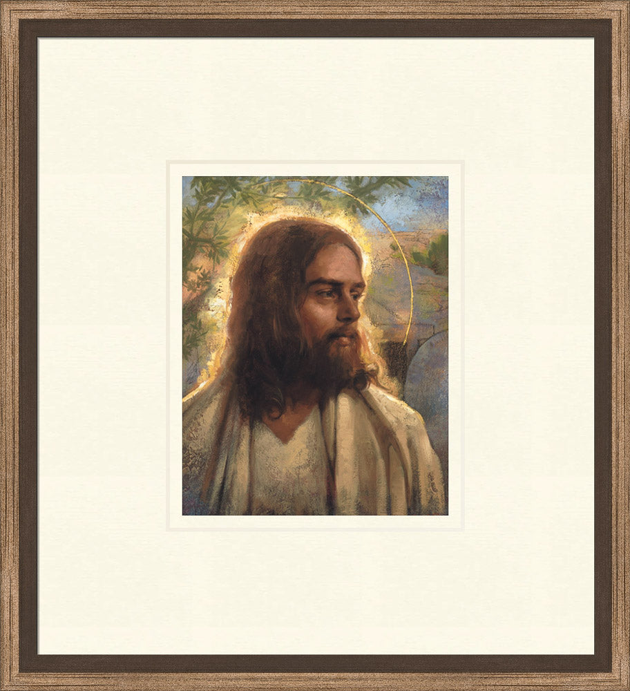 Thanksgiving Sale 2020 Portraits of Christ
