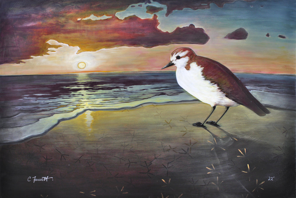 Small bird leaving footprints on the shore representing a change of heart.