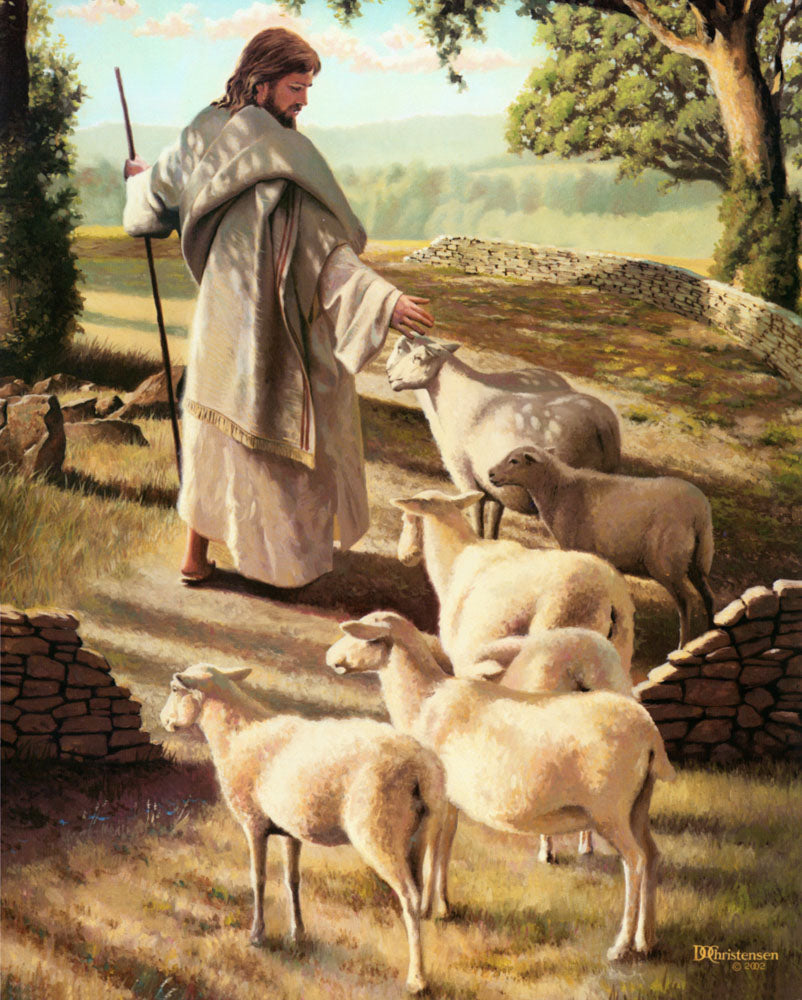 Jesus walking on path with sheep following him.