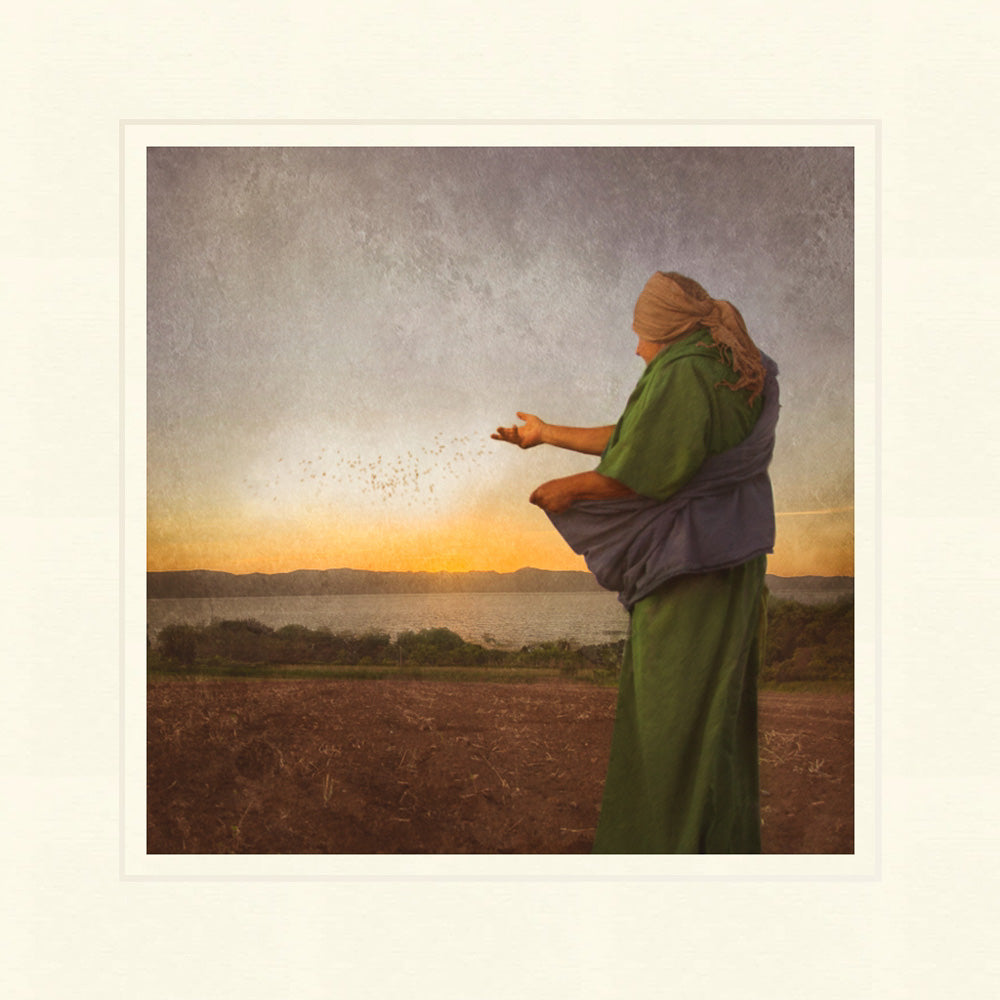 The Sower by Eva Koleva Timothy