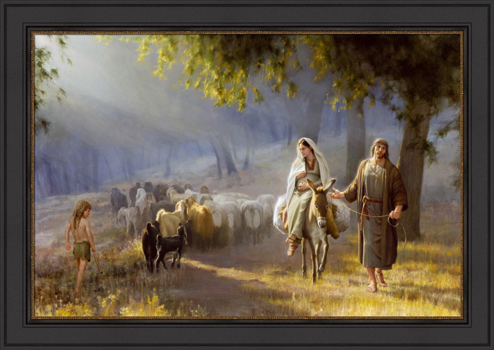 Journey To Bethlehem