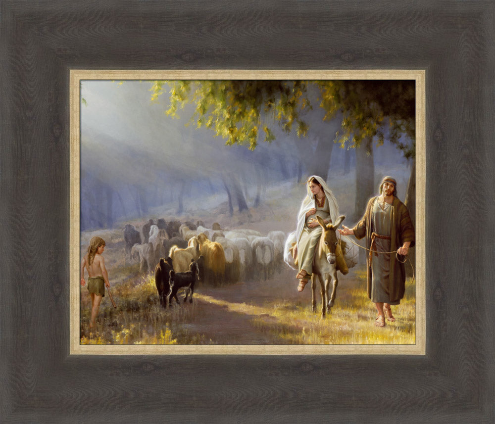 Journey To Bethlehem