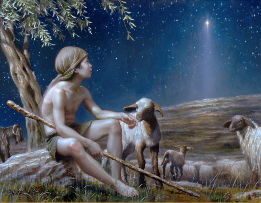 Young boy with staff surrounded by sheep looking up at a star.