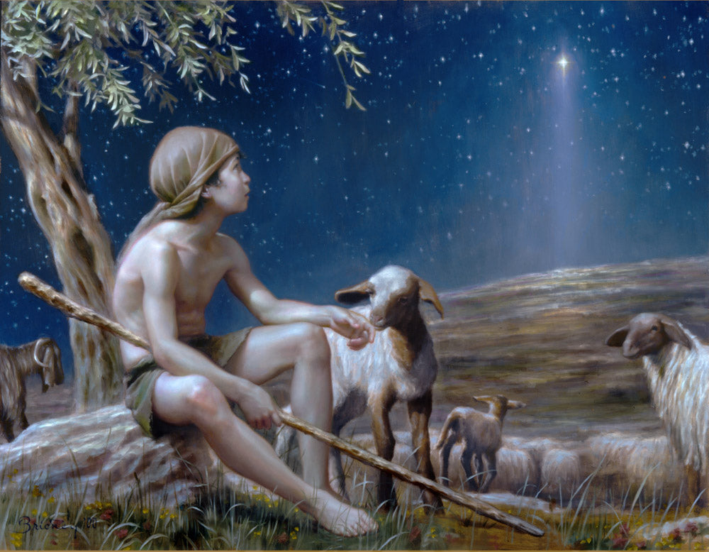 Young boy with staff surrounded by sheep looking up at a star. 