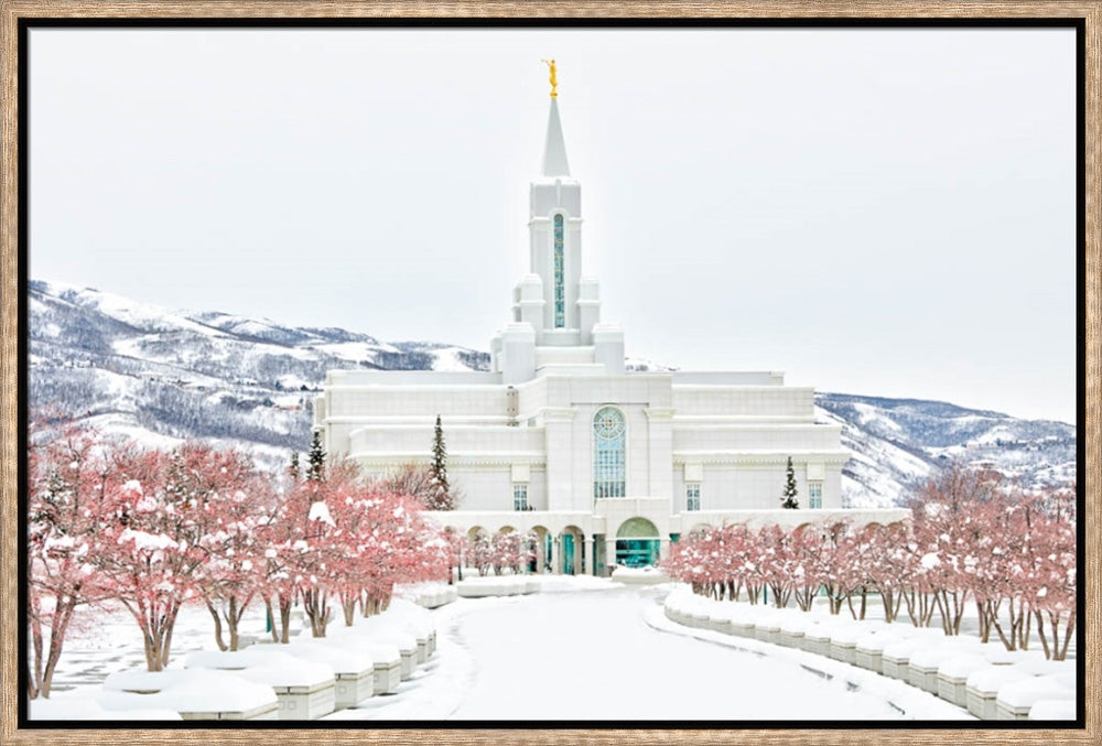 Bountiful Temple - In the Snow