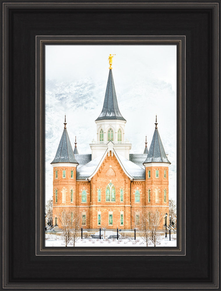 Provo City Center Temple - In January