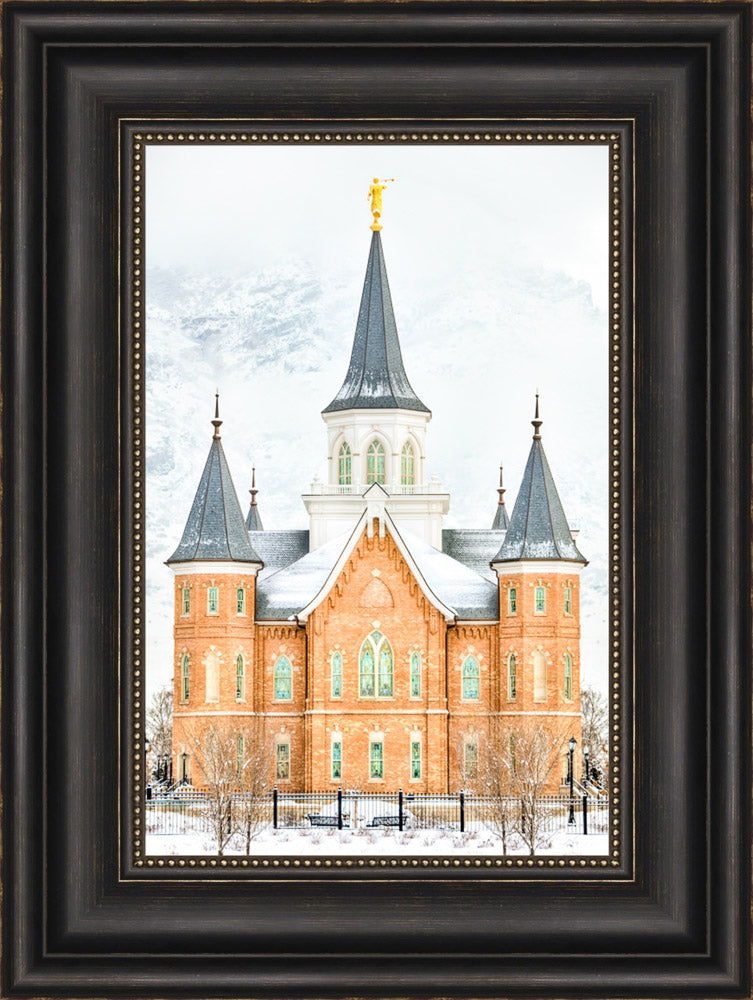 Provo City Center Temple - In January