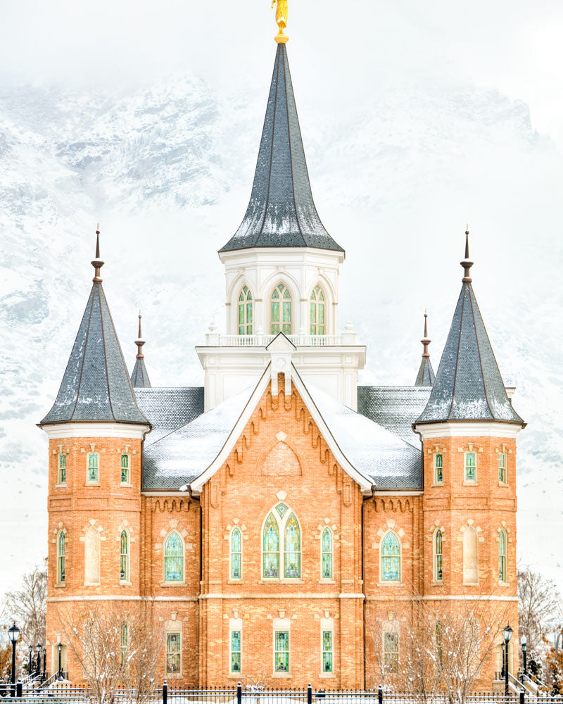 Provo City Center Temple - In January