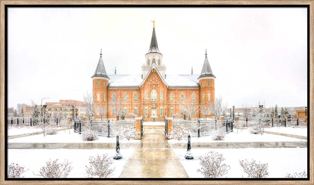 Provo City Center Temple - Snowstorm