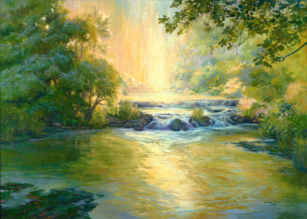 Landscape of a small waterfall in the Jordan river surrounded by trees.