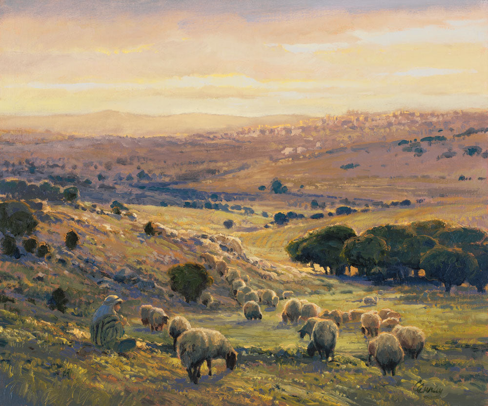 Shepherd sitting watching his sheep in the Bethlehem valley at sunset.