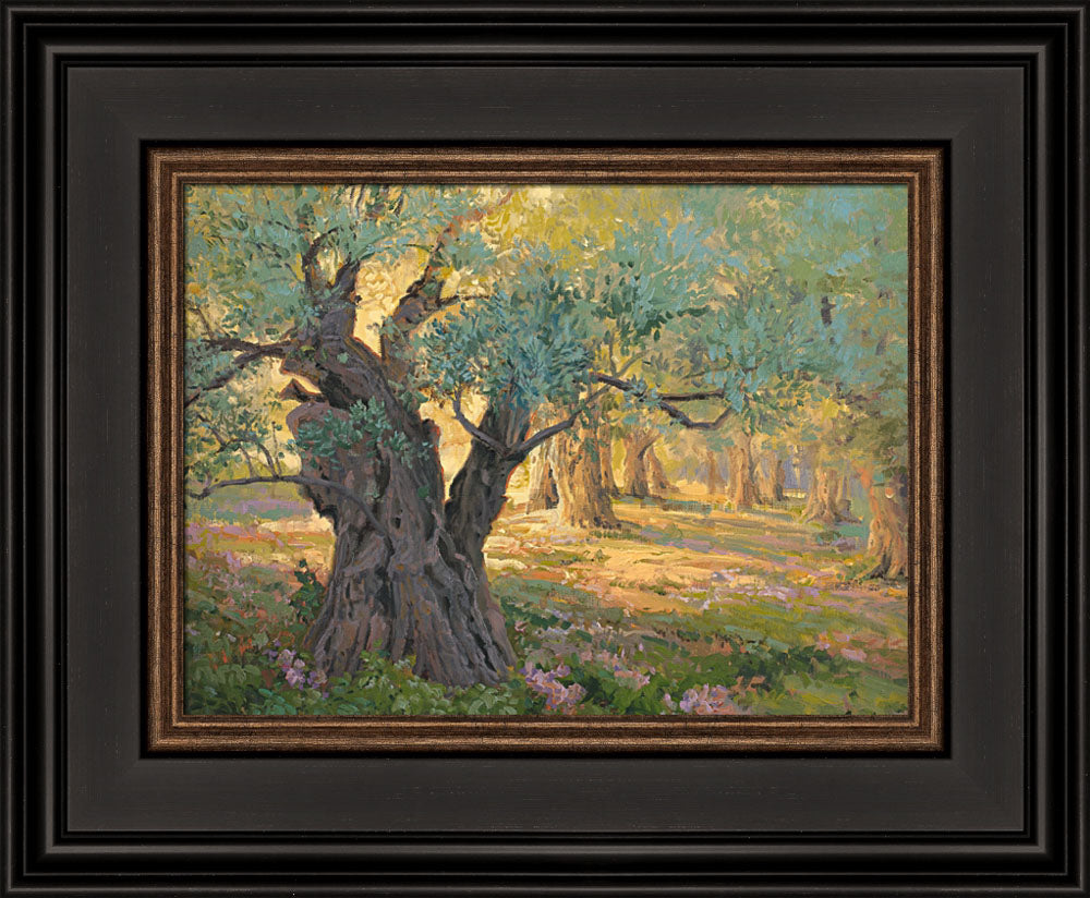 Olive trees in the garden of Gethsemane with light shinning through. Art 10