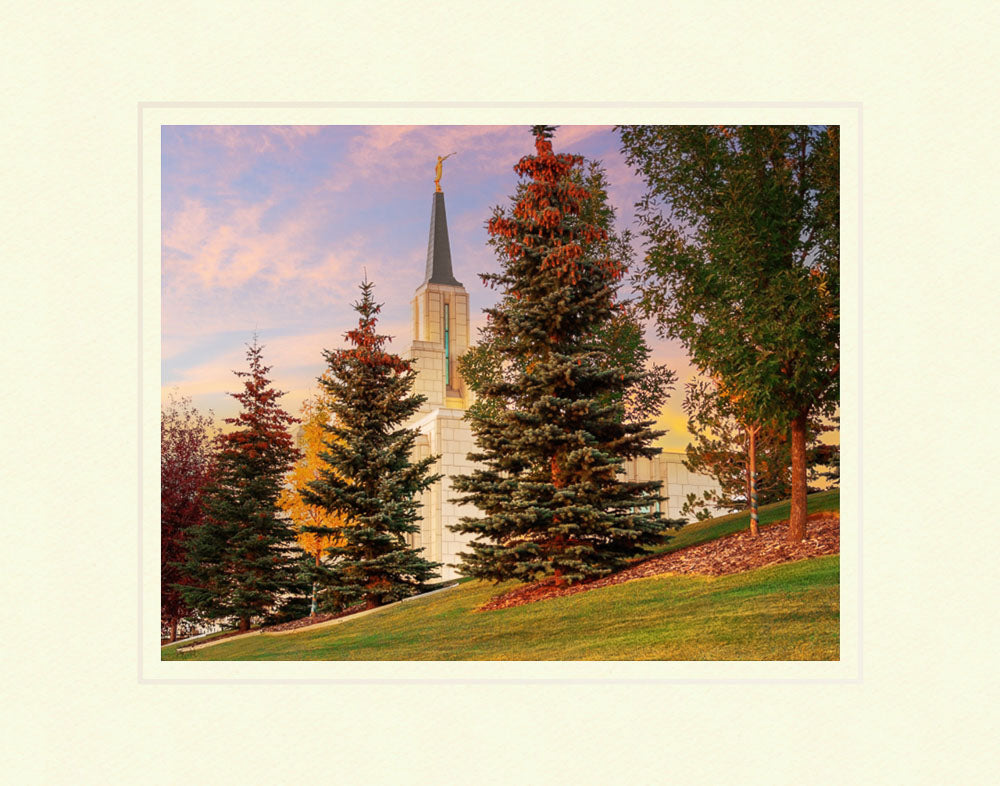 Calgary Alberta Temple- Autumn Trees