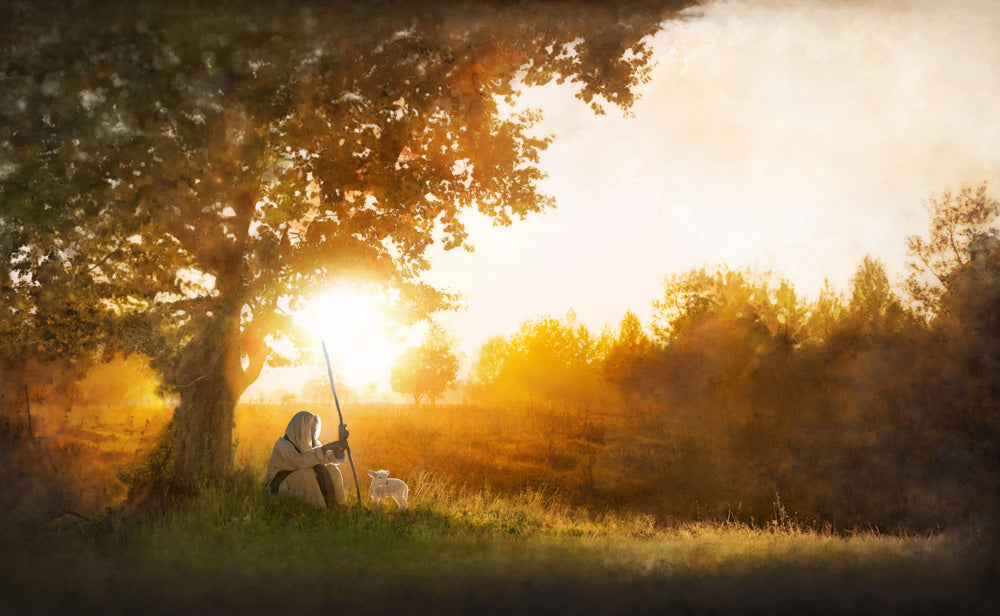 Jesus is the Good Shepherd sitting under tree with a lamb.