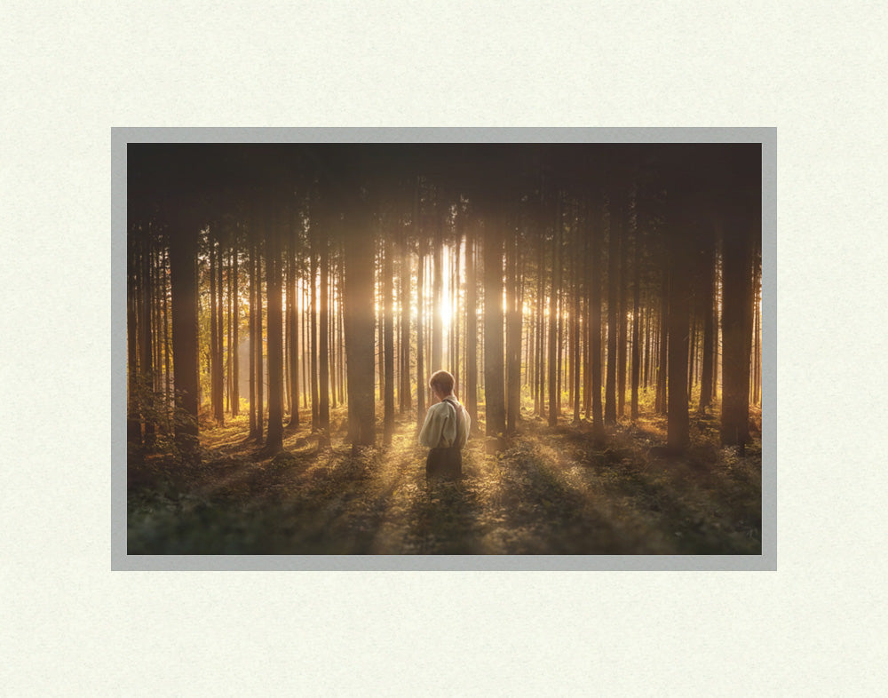 Young Joseph Smith kneeling in a grove of trees with light shining through. Art 8