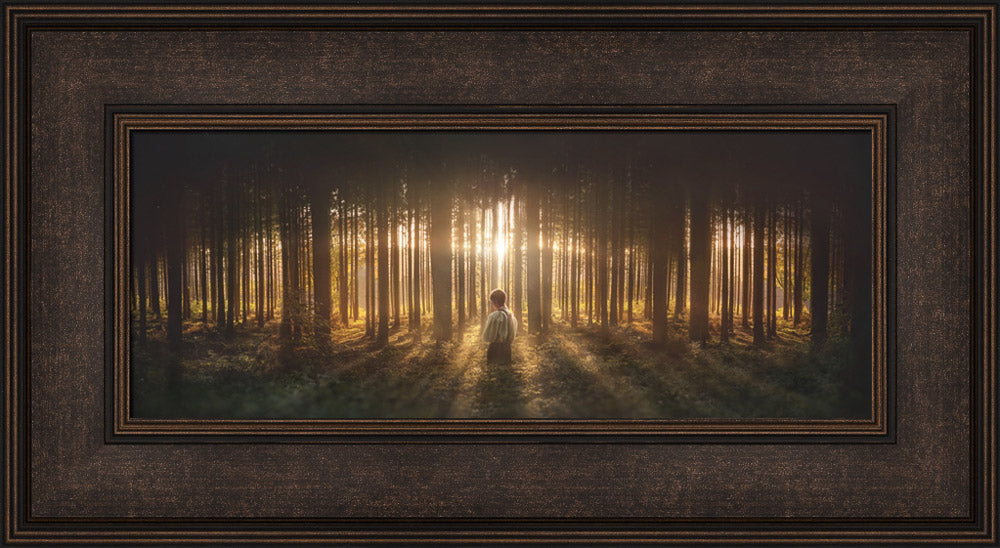 Young Joseph Smith kneeling in a grove of trees with light shining through. Art 6