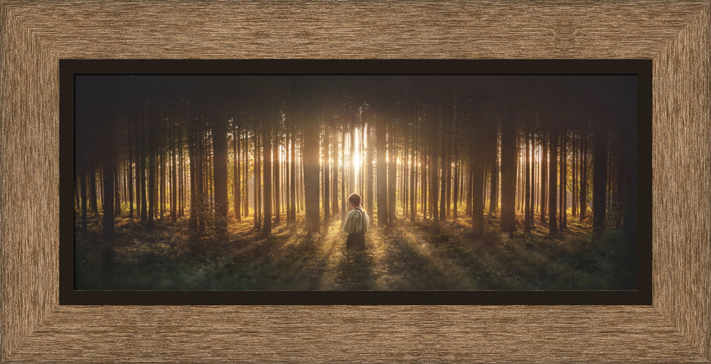 Young Joseph Smith kneeling in a grove of trees with light shining through. Art 3