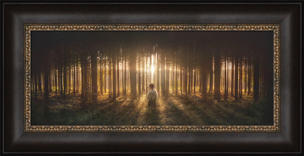 Young Joseph Smith kneeling in a grove of trees with light shining through. Art 4