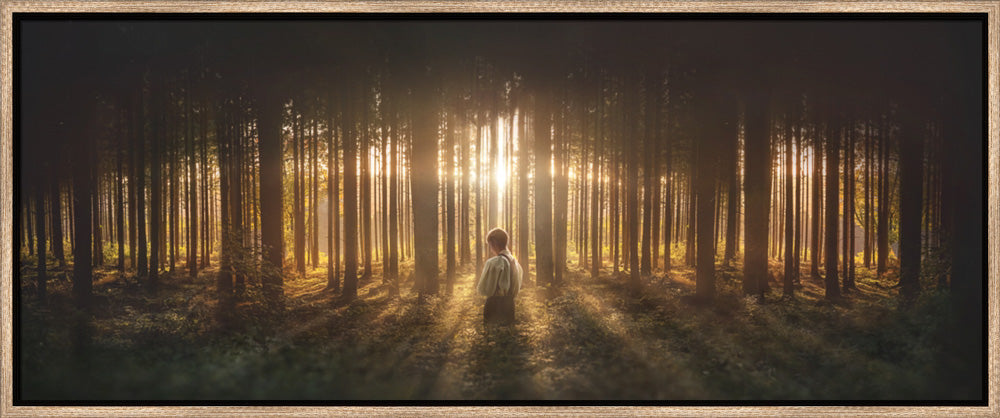 Young Joseph Smith kneeling in a grove of trees with light shining through. Art 5
