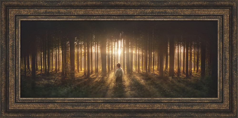 Young Joseph Smith kneeling in a grove of trees with light shining through. Art 7