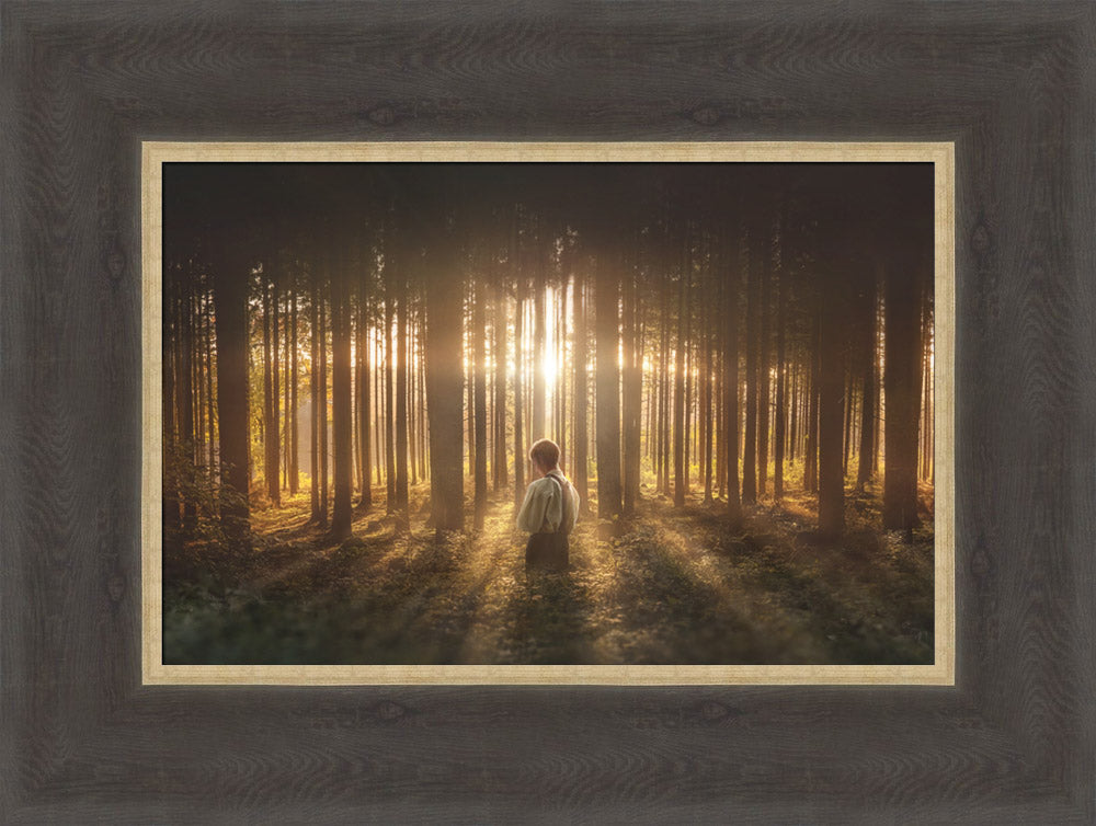 Young Joseph Smith kneeling in a grove of trees with light shining through. Art 2