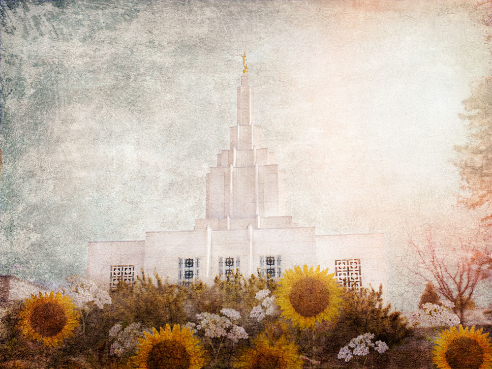 Idaho Falls Idaho Temple with yellow sunflowers.